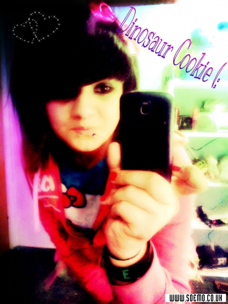 Site Model - Dinosaur-Cookie