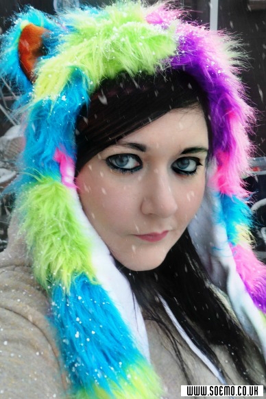 Site Model - LoonACE-lise