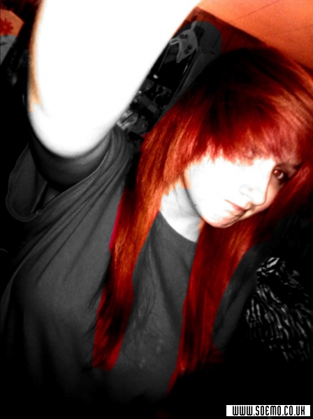 Site Model - LorenBee