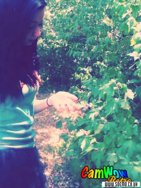 Site Model - MeganMassikur