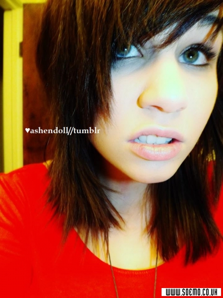 Site Model - ashendoll