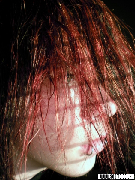 Site Model - jeremy_denney