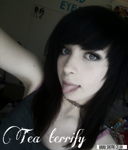 Site Model - lykketea