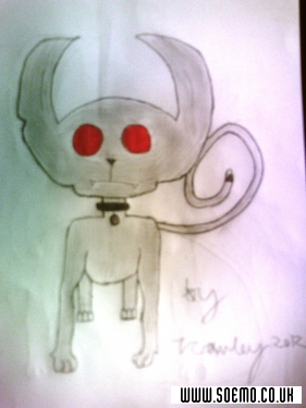 feilex as just a cat